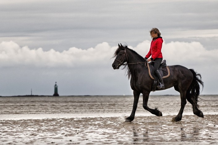 Cheval-Frison-mer-photographe-oise