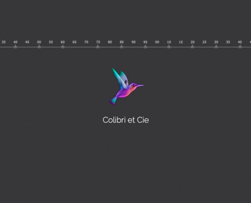 colibri-cie