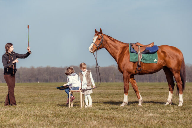 Shooting Cheval 2016-004-HD