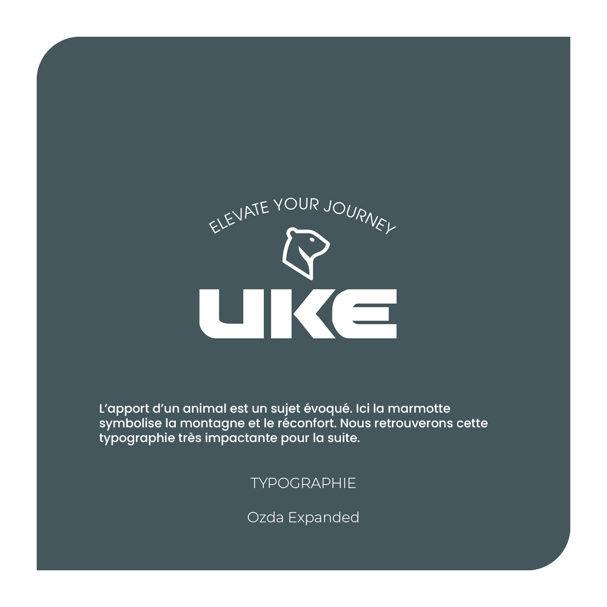 recherche-logo3
