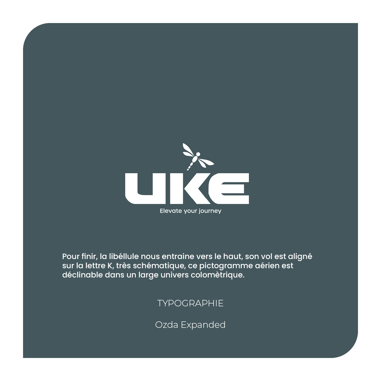 recherche-logo5